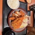 よくばり定食 - 実際訪問したユーザーが直接撮影して投稿した東塩小路町とんかつとんかつ薩摩 京都ヨドバシ店の写真のメニュー情報