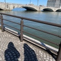 実際訪問したユーザーが直接撮影して投稿した一番堀通町散策路信濃川やすらぎ堤緑地の写真