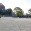 実際訪問したユーザーが直接撮影して投稿した自由ヶ丘公園自由ヶ丘公園の写真
