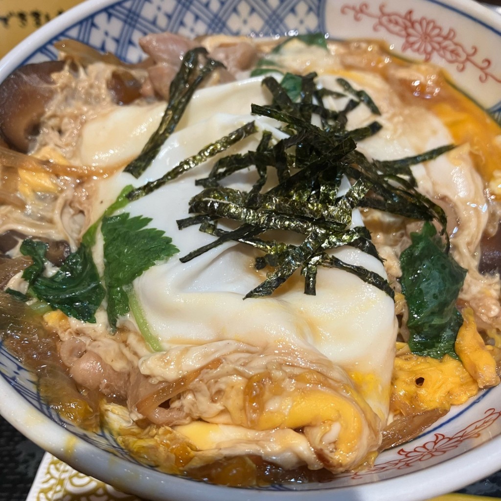 ユーザーが投稿した親子丼 600Xの写真 - 実際訪問したユーザーが直接撮影して投稿した北幸そば味奈登庵 横浜天理ビル店の写真