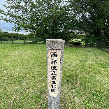 実際訪問したユーザーが直接撮影して投稿した商工センター公園西部埋立第三公園の写真