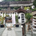 実際訪問したユーザーが直接撮影して投稿した連雀町神社川越 熊野神社の写真