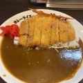 実際訪問したユーザーが直接撮影して投稿した十三本町カレーライオンカレー 十三店の写真