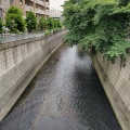実際訪問したユーザーが直接撮影して投稿した河川神田川の写真