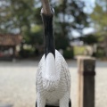 実際訪問したユーザーが直接撮影して投稿した川合町川合神社物部神社の写真