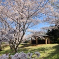 実際訪問したユーザーが直接撮影して投稿した則貞公園ときわ公園の写真