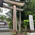 実際訪問したユーザーが直接撮影して投稿した一宮しなね神社土佐神社の写真