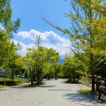 実際訪問したユーザーが直接撮影して投稿した長留公園秩父ミューズパークの写真
