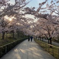 実際訪問したユーザーが直接撮影して投稿した一番堀通町公園白山公園の写真