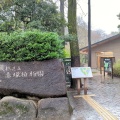 実際訪問したユーザーが直接撮影して投稿した赤塚植物園 / 樹木園板橋区立 赤塚植物園の写真