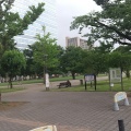 実際訪問したユーザーが直接撮影して投稿した中野公園中野四季の森公園の写真