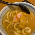 名物カレーうどん - 実際訪問したユーザーが直接撮影して投稿した東品川うどん若鯱家 品川シーサイドフォレスト店の写真のメニュー情報