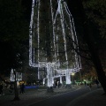 実際訪問したユーザーが直接撮影して投稿した保木間公園元渕江公園の写真