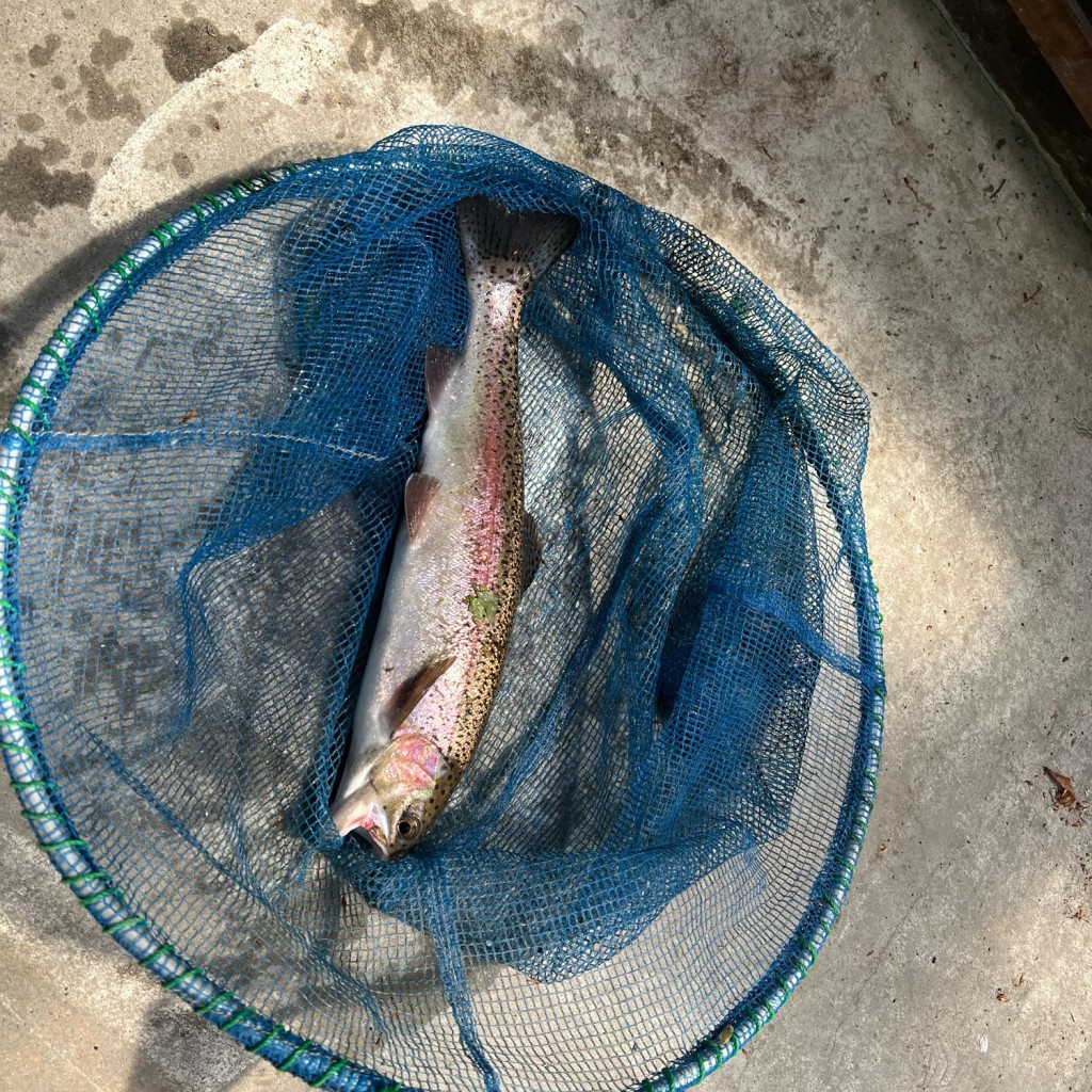 実際訪問したユーザーが直接撮影して投稿した大内沢魚介 / 海鮮料理水輪フィッシングセンターの写真