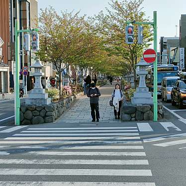 実際訪問したユーザーが直接撮影して投稿した由比ガ浜通り若宮大路の写真