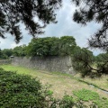 実際訪問したユーザーが直接撮影して投稿した二の丸公園二の丸街園の写真