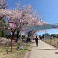 実際訪問したユーザーが直接撮影して投稿した中央町公園大池公園の写真