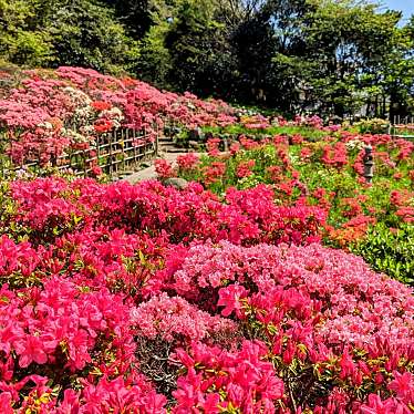 花の木公園のundefinedに実際訪問訪問したユーザーunknownさんが新しく投稿した新着口コミの写真