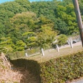 実際訪問したユーザーが直接撮影して投稿した渋谷町古墳渋谷向山古墳 景行天皇 山邊道上陵の写真