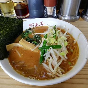 実際訪問したユーザーが直接撮影して投稿した下平間ラーメン / つけ麺ラーメンハウス河童子の写真