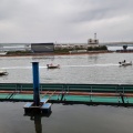 実際訪問したユーザーが直接撮影して投稿した那の津ボートレース場ボートレース福岡の写真