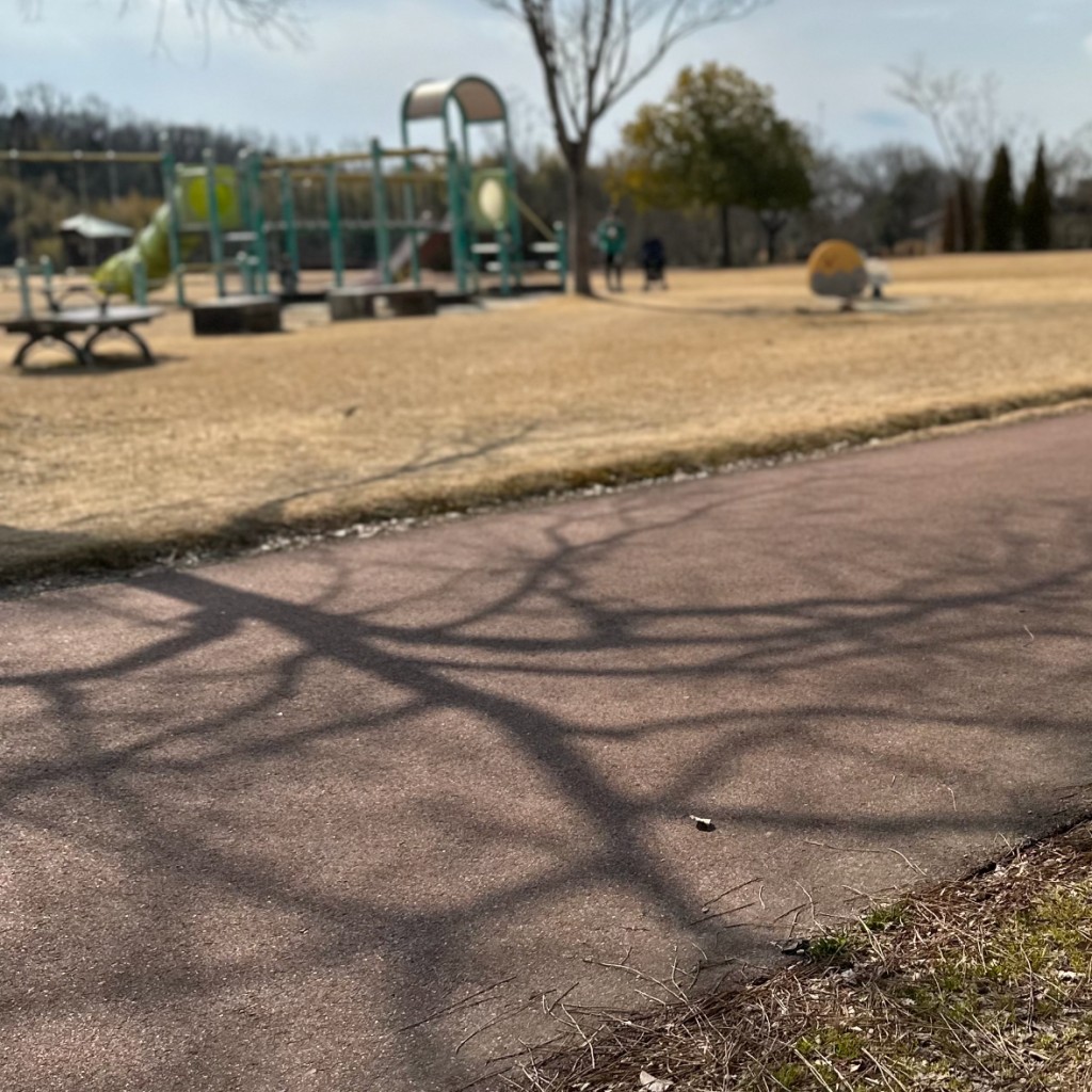 実際訪問したユーザーが直接撮影して投稿した羽崎公園トイファクトリーの丘の写真