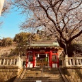 実際訪問したユーザーが直接撮影して投稿した元町神社厳島神社の写真