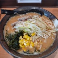 ネギ味噌ラーメン - 実際訪問したユーザーが直接撮影して投稿した田園ラーメン / つけ麺ラーメンだるまやの写真のメニュー情報