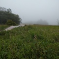 実際訪問したユーザーが直接撮影して投稿した所野高原日光市霧降高原 キスゲ平園地の写真