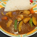 実際訪問したユーザーが直接撮影して投稿した野中スープカレーカレーハウス印度亭の写真