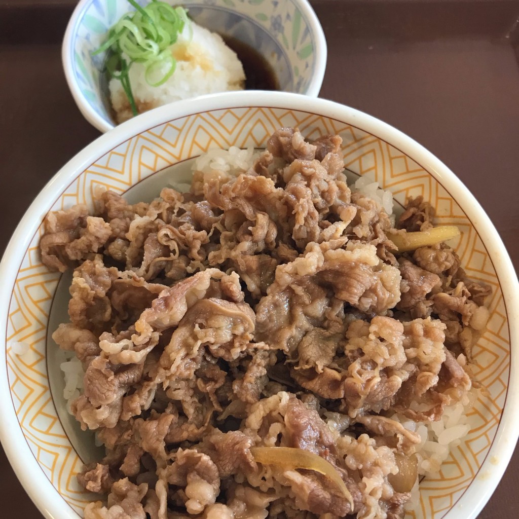 ユーザーが投稿した牛丼大盛の写真 - 実際訪問したユーザーが直接撮影して投稿した扇牛丼すき家 足立扇店の写真