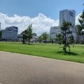 実際訪問したユーザーが直接撮影して投稿した大手公園福井市中央公園の写真