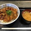 姫豚丼 - 実際訪問したユーザーが直接撮影して投稿した五明うどん麦さと屋の写真のメニュー情報