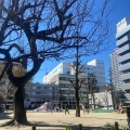 実際訪問したユーザーが直接撮影して投稿した大須公園裏門前公園の写真