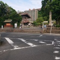 実際訪問したユーザーが直接撮影して投稿した照国町神社照国神社の写真