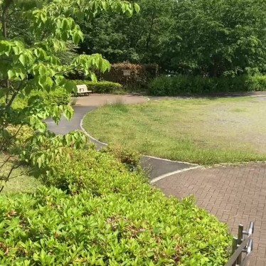 実際訪問したユーザーが直接撮影して投稿した小山ヶ丘公園小山小鳩公園の写真