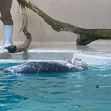 実際訪問したユーザーが直接撮影して投稿した鳥羽水族館 / アクアリウム鳥羽水族館の写真