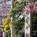 実際訪問したユーザーが直接撮影して投稿した蔵前神社蔵前神社の写真