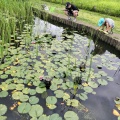 実際訪問したユーザーが直接撮影して投稿した北小岩庭園小岩菖蒲園の写真