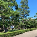 実際訪問したユーザーが直接撮影して投稿した丸の内公園町公園芦城公園の写真