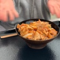 チーズダッカルビ丼 - 実際訪問したユーザーが直接撮影して投稿した寿町餃子岡山餃子製作所 アリオ倉敷店の写真のメニュー情報