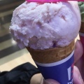 実際訪問したユーザーが直接撮影して投稿した小山北上総町アイスクリームサーティワンアイスクリーム 北大路ビブレ店の写真