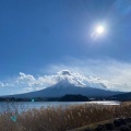 実際訪問したユーザーが直接撮影して投稿した大石花のきれいなスポット大石公園の写真