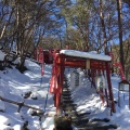 実際訪問したユーザーが直接撮影して投稿した神社草津穴守稲荷神社の写真