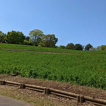 国営昭和記念公園のundefinedに実際訪問訪問したユーザーunknownさんが新しく投稿した新着口コミの写真