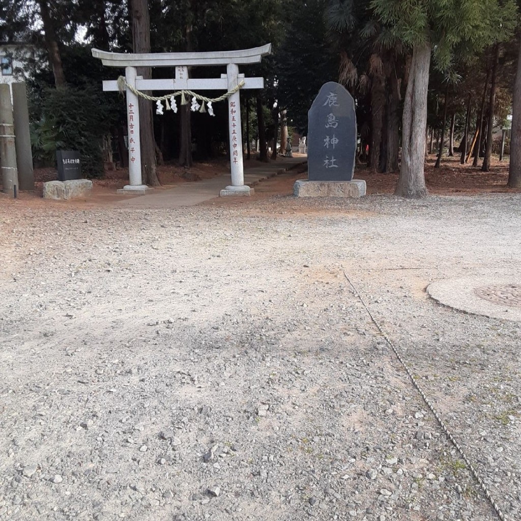 しのちゃんDB9さんが投稿した木田余東台神社のお店鹿島神社/カシマジンジャの写真