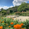 実際訪問したユーザーが直接撮影して投稿した下青柳植物園 / 樹木園いばらきフラワーパークの写真