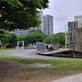 実際訪問したユーザーが直接撮影して投稿した大島公園大島小松川公園の写真