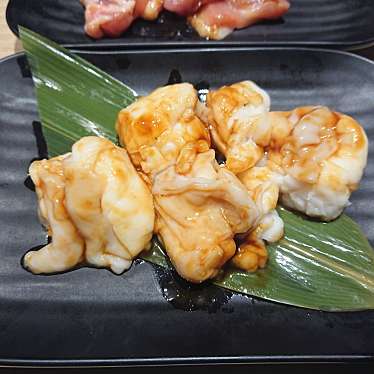 実際訪問したユーザーが直接撮影して投稿した戸田西焼肉味のがんこ炎 中川戸田店の写真