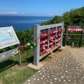 実際訪問したユーザーが直接撮影して投稿した青海川海岸 / 岬恋人岬の写真